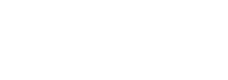 A white version of the National Property Inspections logo with the words "America's Premier Inspection Service" written in cursive.